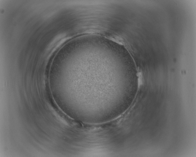 X0000076400243200610202137