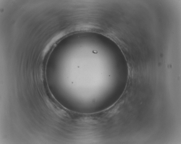 X0000076400244200610202137