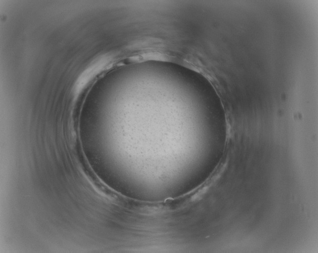 X0000076400245200610202137