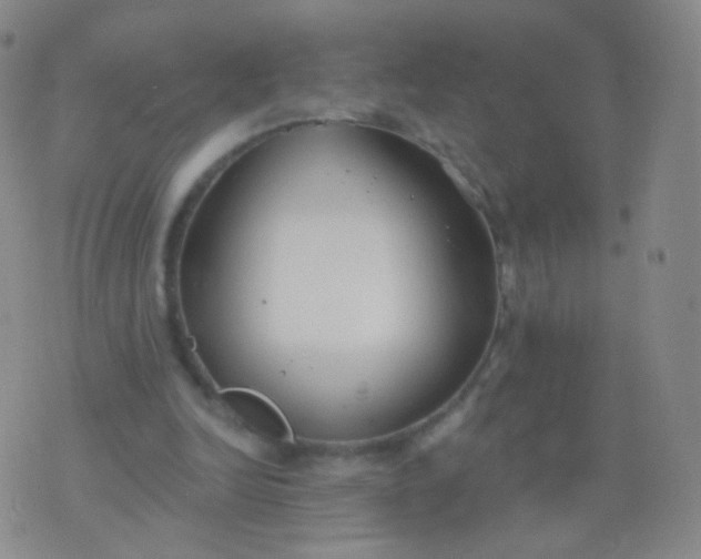 X0000076400246200610202137