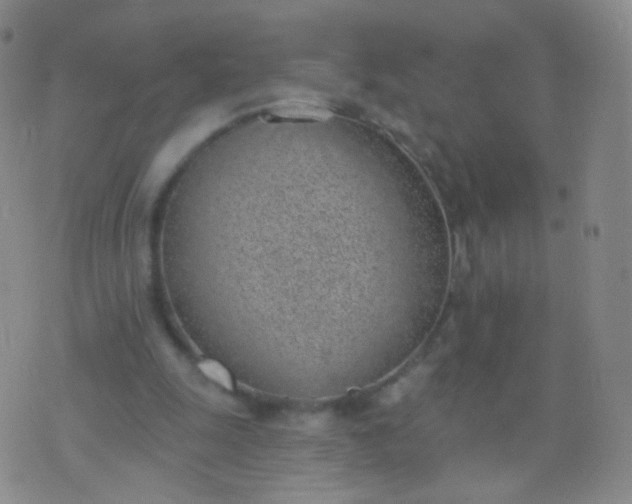 X0000076400247200610202137