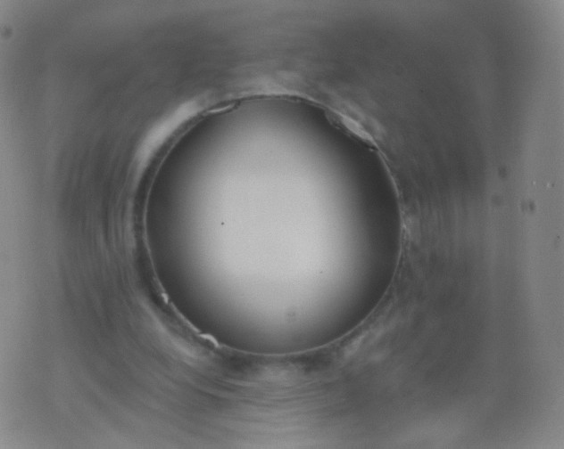 X0000076400248200610202137