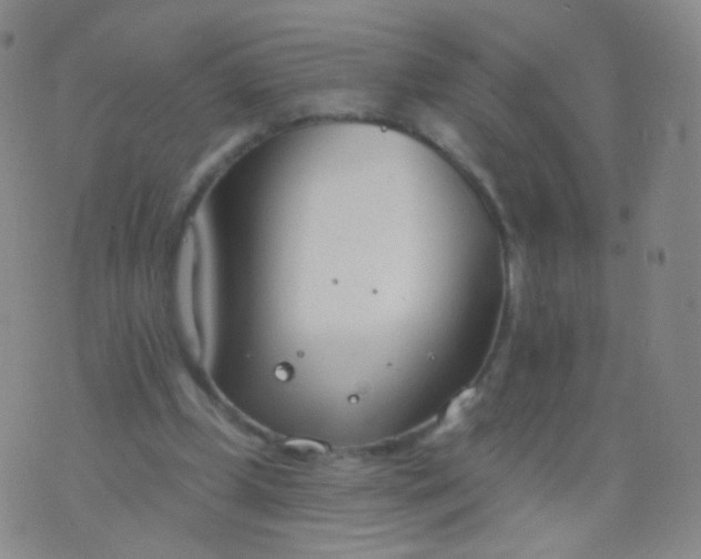 X0000076400249200610202137