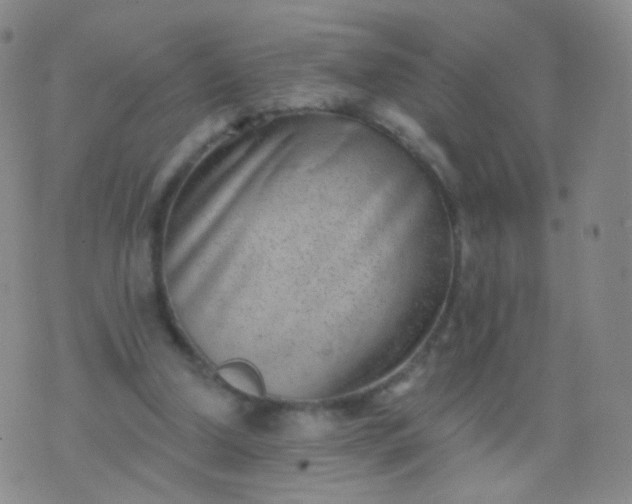 X0000076400250200610202137