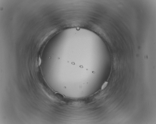 X0000076400251200610202137