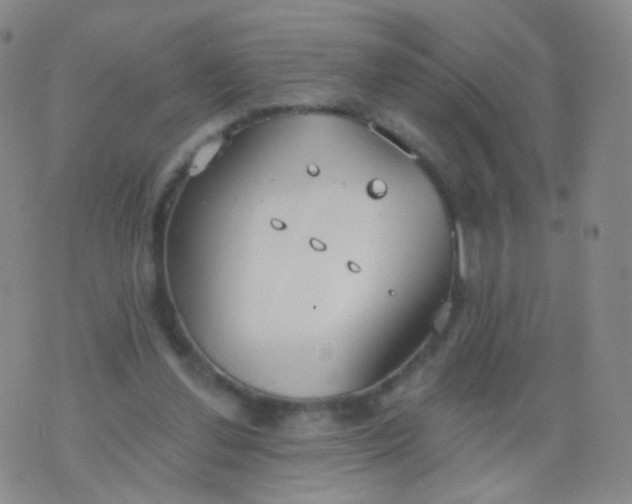 X0000076400252200610202137