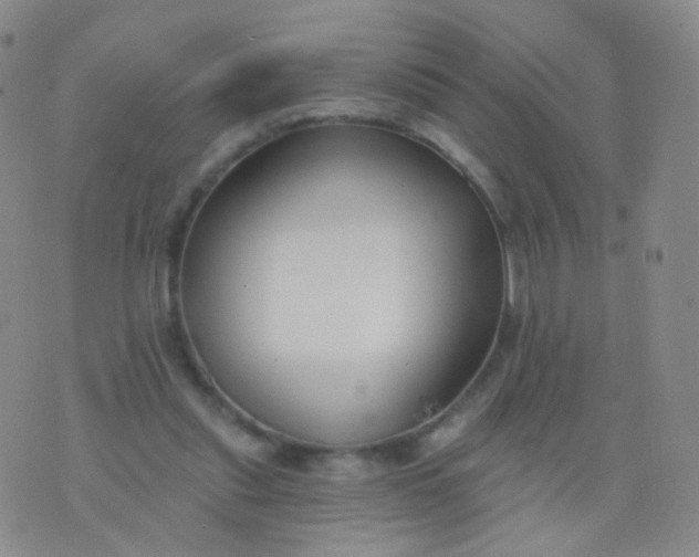 X0000076400253200610202137