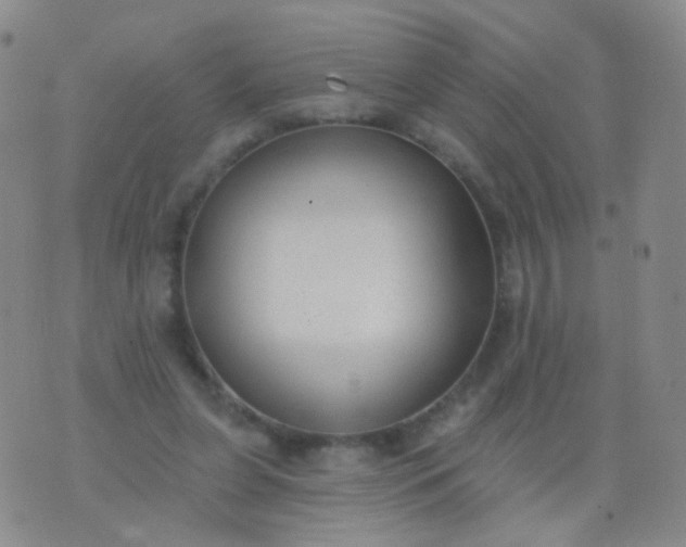 X0000076400255200610202137