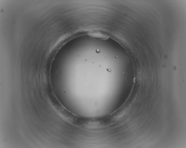 X0000076400256200610202137