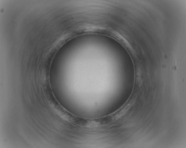 X0000076400257200610202137