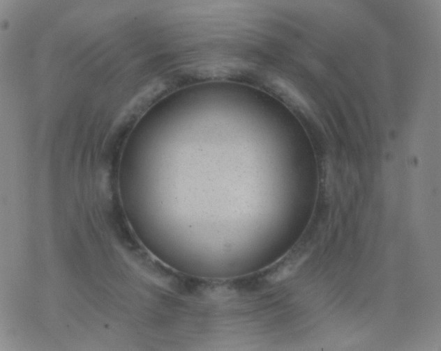 X0000076400258200610202137