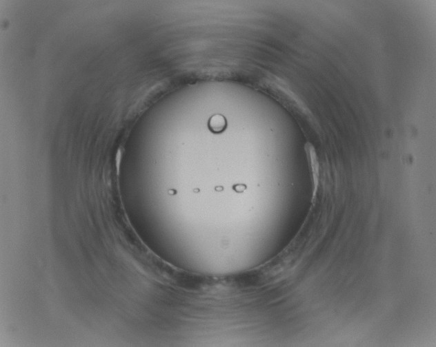 X0000076400259200610202137