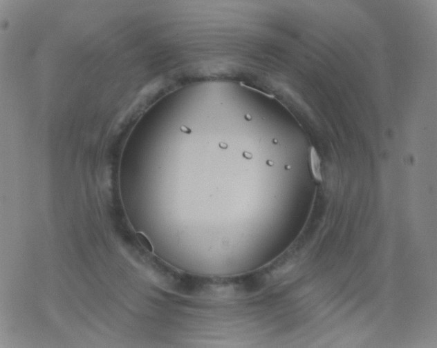 X0000076400260200610202137