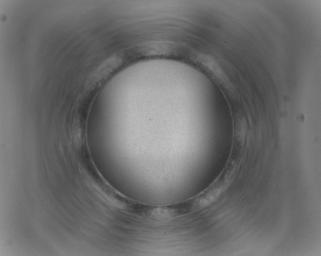 X0000076400261200610202137