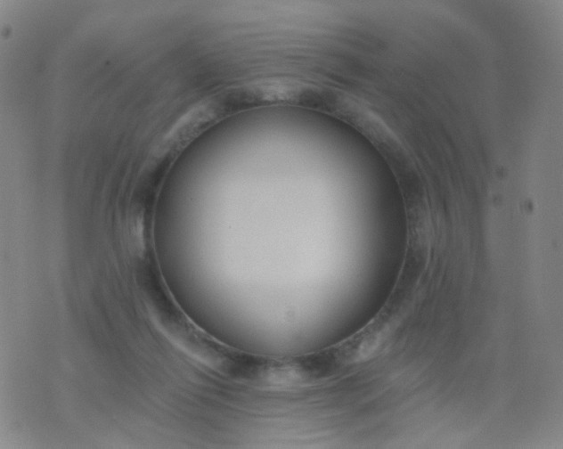 X0000076400262200610202137