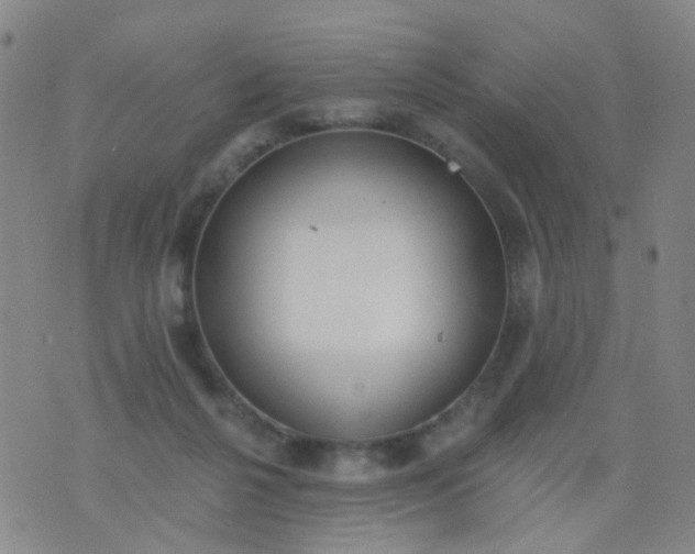 X0000076400264200610202137