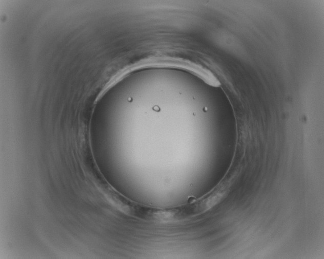 X0000076400265200610202137