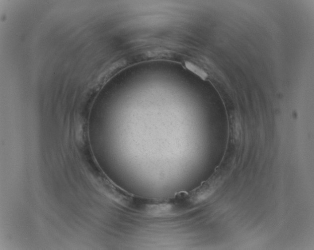 X0000076400266200610202137