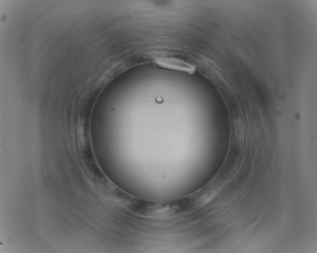 X0000076400267200610202137