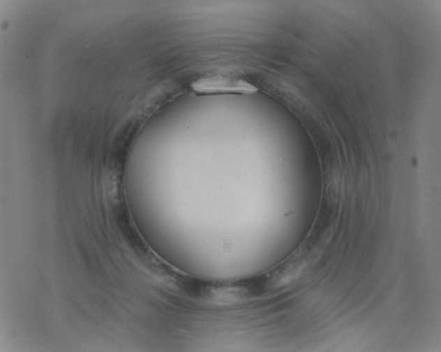 X0000076400268200610202137