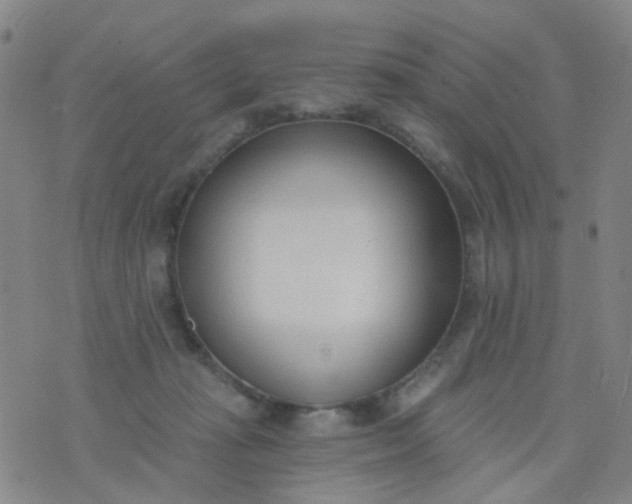 X0000076400269200610202137