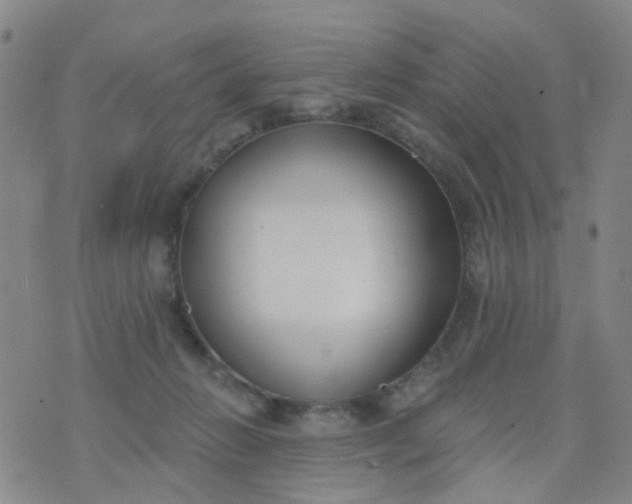 X0000076400270200610202137