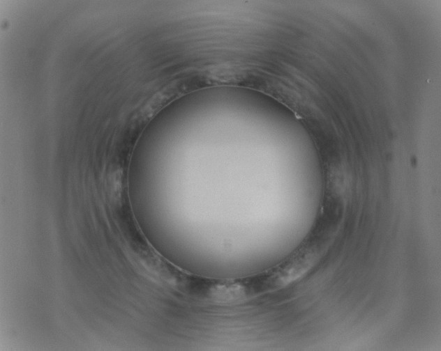 X0000076400271200610202137