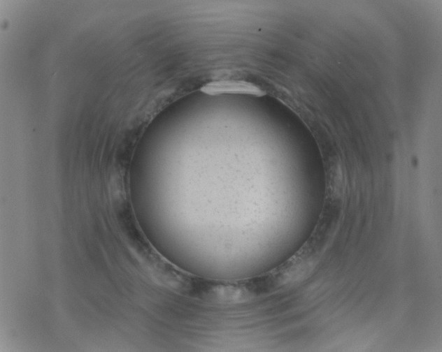 X0000076400272200610202137