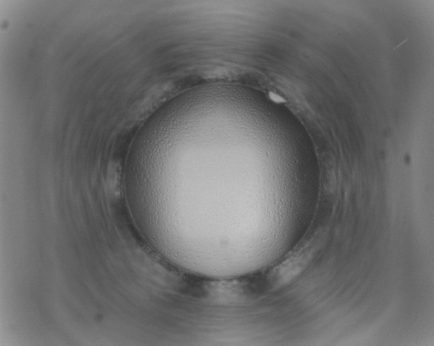 X0000076400273200610202137