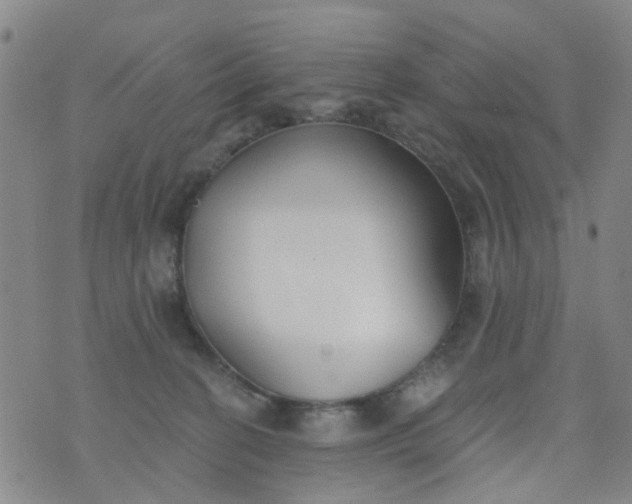 X0000076400274200610202137