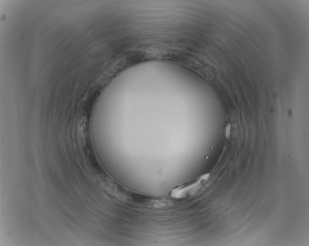 X0000076400275200610202137