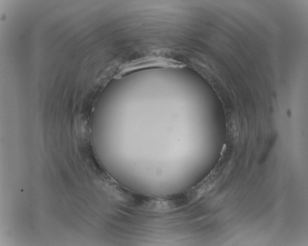 X0000076400276200610202137