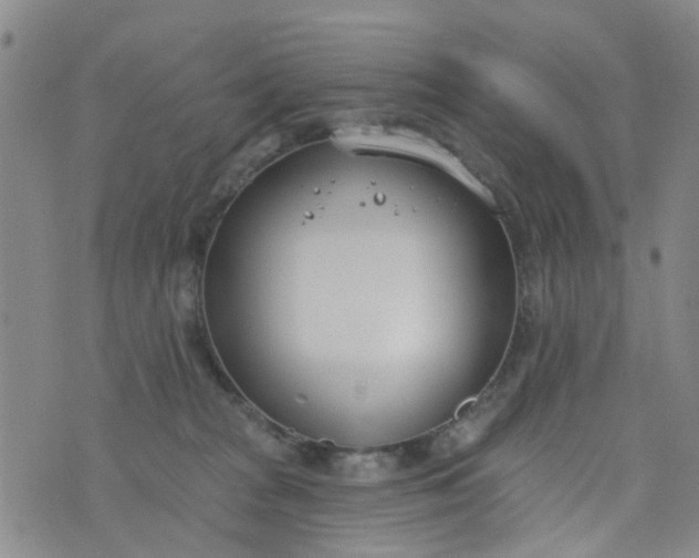 X0000076400277200610202137