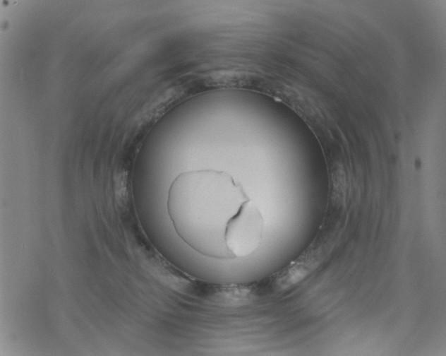 X0000076400278200610202137