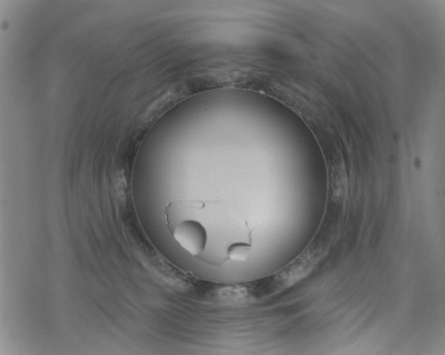 X0000076400279200610202137