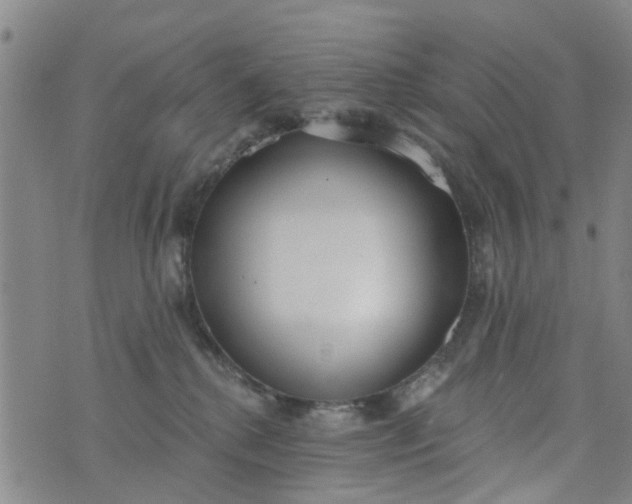 X0000076400280200610202137