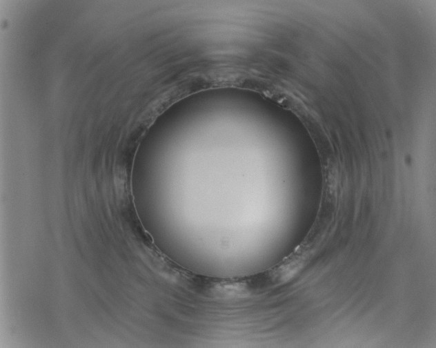 X0000076400283200610202138