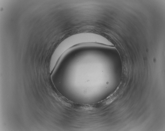 X0000076400284200610202138