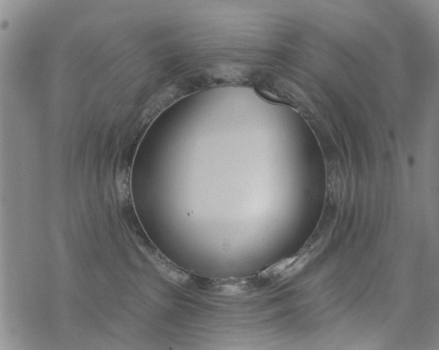 X0000076400285200610202138