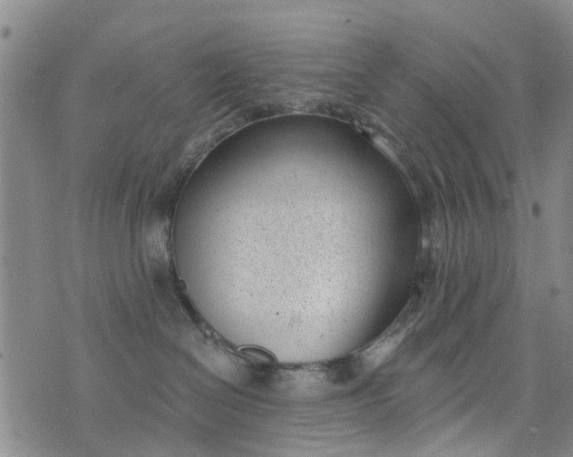 X0000076400286200610202138