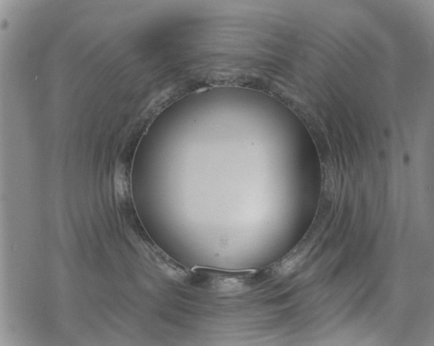 X0000076400287200610202138