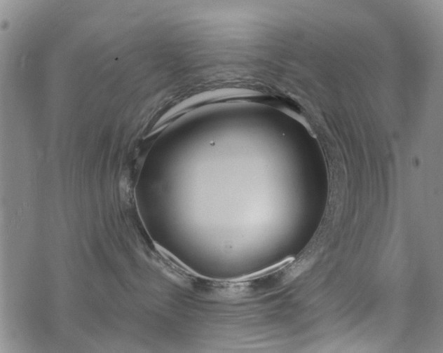 X0000076400288200610202138