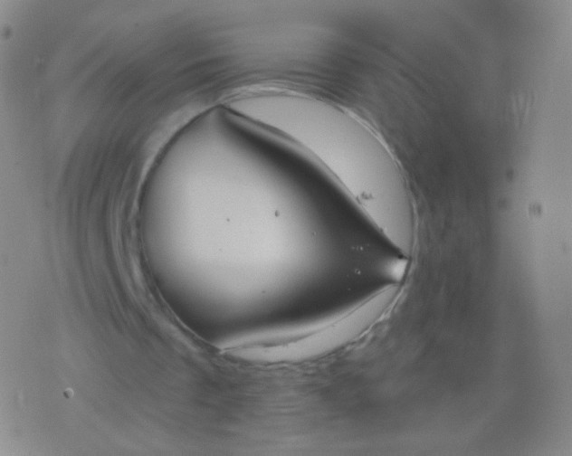 X0000076400289200610202137