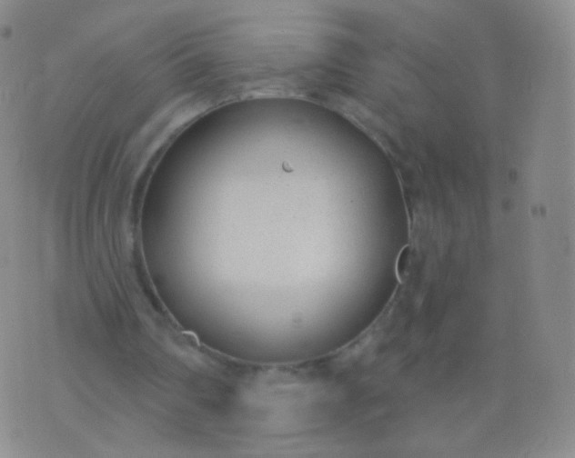 X0000076400290200610202137