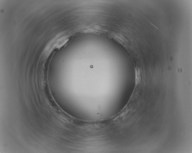 X0000076400291200610202137