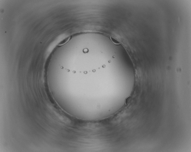 X0000076400292200610202137