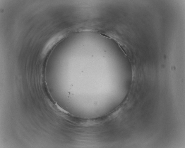 X0000076400293200610202137