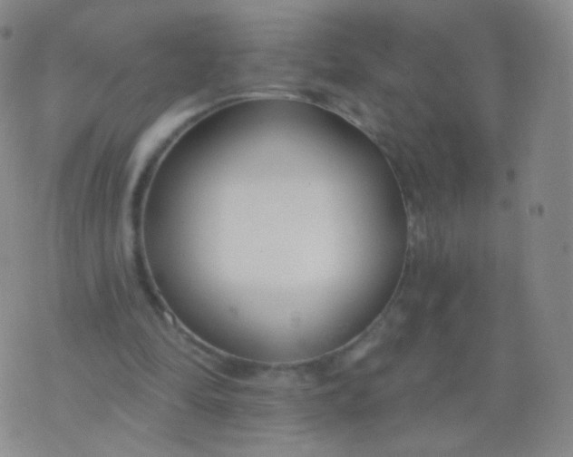 X0000076400294200610202137