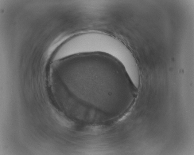 X0000076400295200610202137