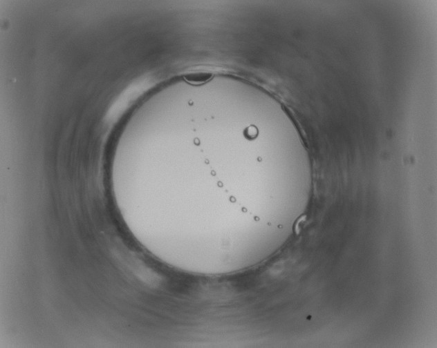 X0000076400296200610202137